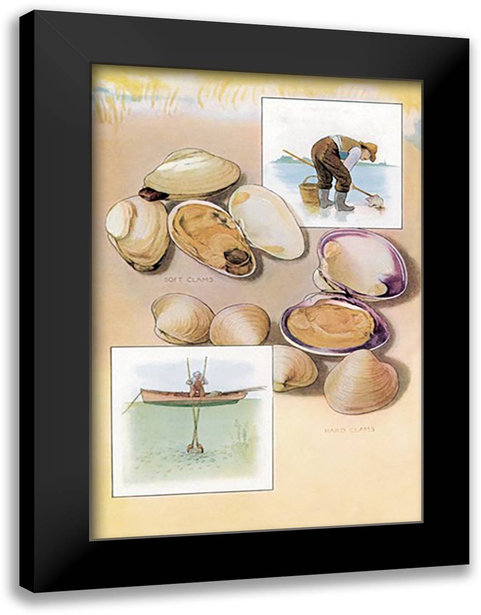 Clams 16x22 Black Modern Wood Framed Art Print Poster