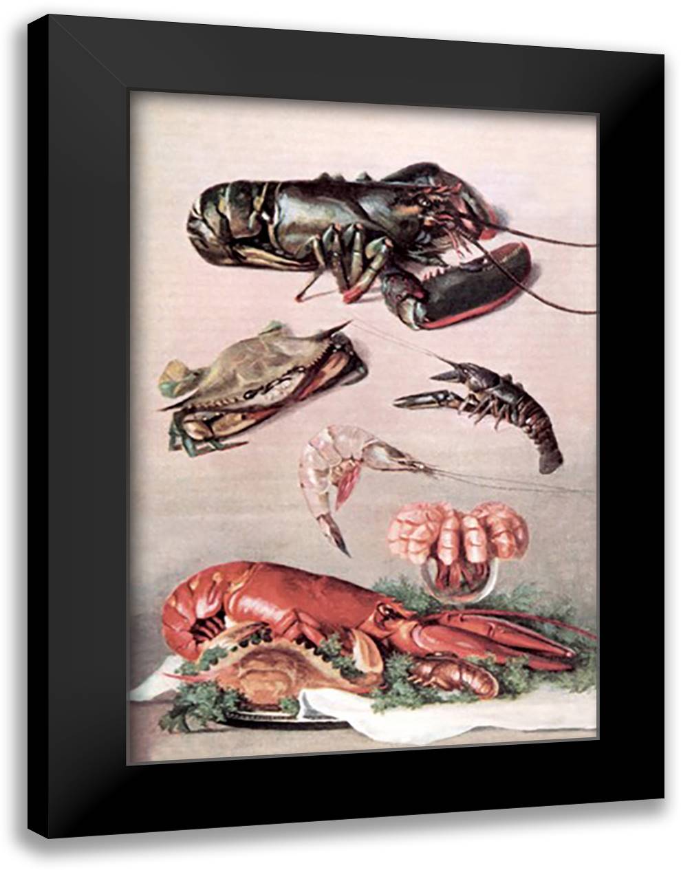 Shellfish 16x22 Black Modern Wood Framed Art Print Poster