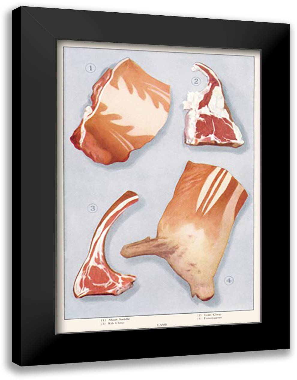 Cuts of Lamb 16x22 Black Modern Wood Framed Art Print Poster