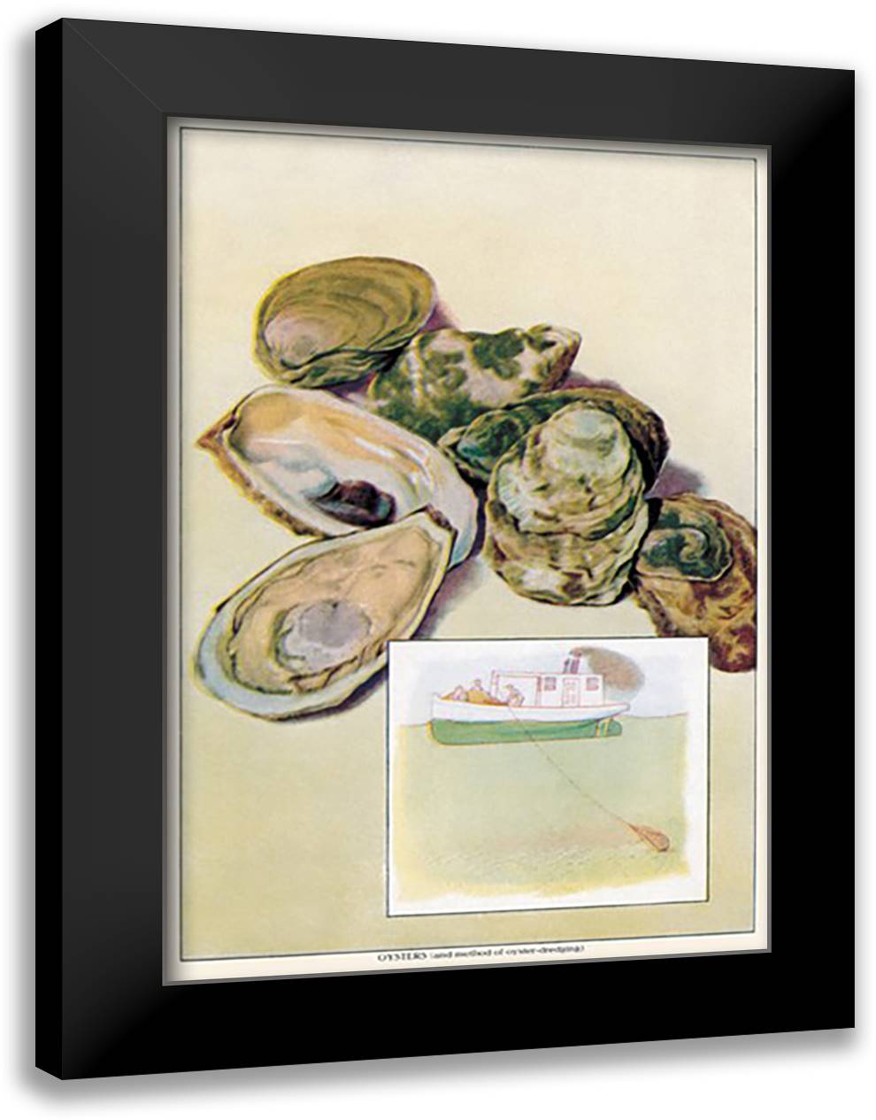 Oysters 16x22 Black Modern Wood Framed Art Print Poster