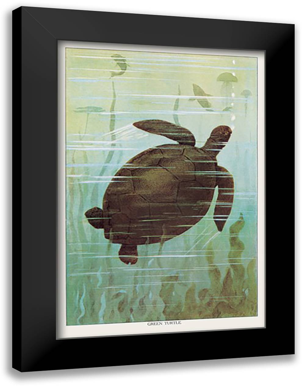 Sea Turtle 16x22 Black Modern Wood Framed Art Print Poster