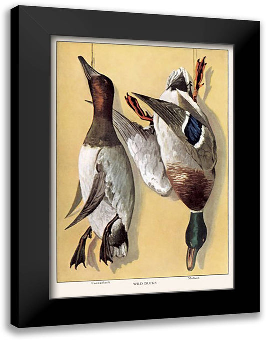 Wild Ducks 16x22 Black Modern Wood Framed Art Print Poster