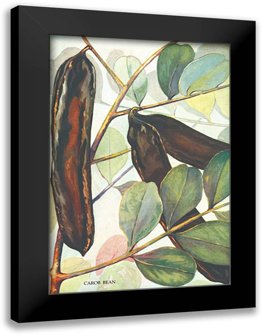 Carob Bean 16x22 Black Modern Wood Framed Art Print Poster