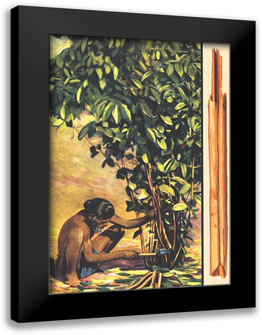 Cinnamon 16x22 Black Modern Wood Framed Art Print Poster