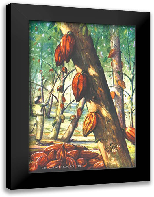 Chocolate "Cacao" Tree 16x22 Black Modern Wood Framed Art Print Poster