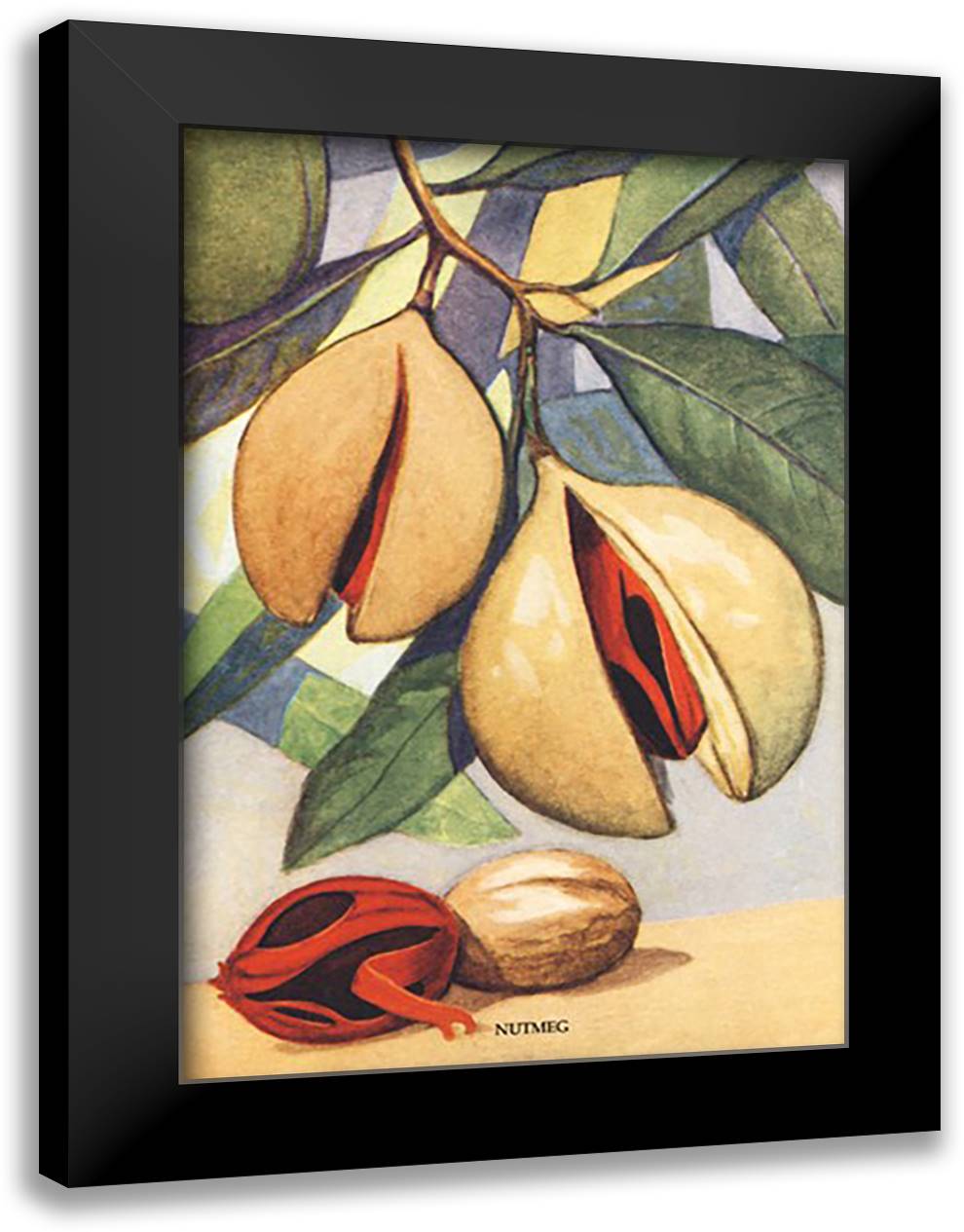 Nutmeg 16x22 Black Modern Wood Framed Art Print Poster