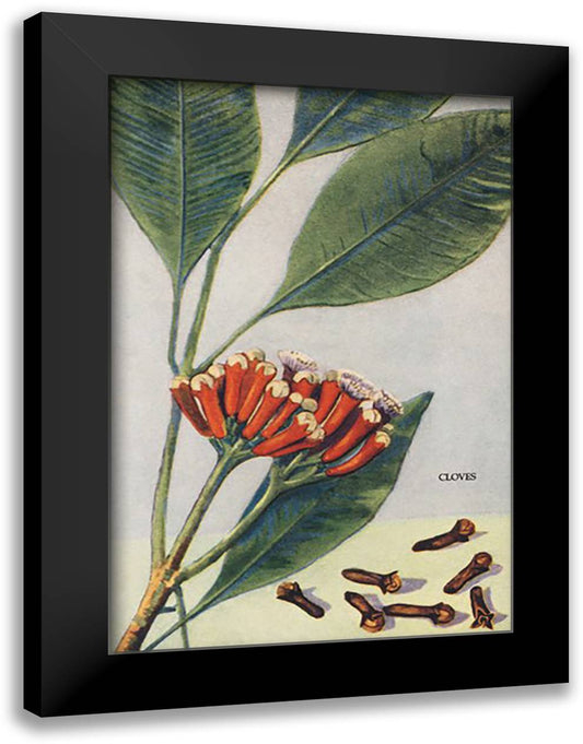 Clove 16x22 Black Modern Wood Framed Art Print Poster