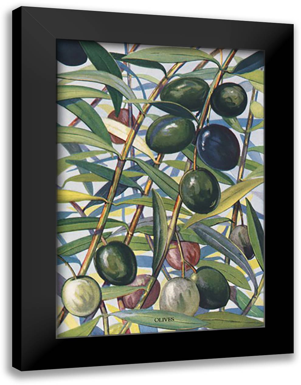 Olives 16x22 Black Modern Wood Framed Art Print Poster
