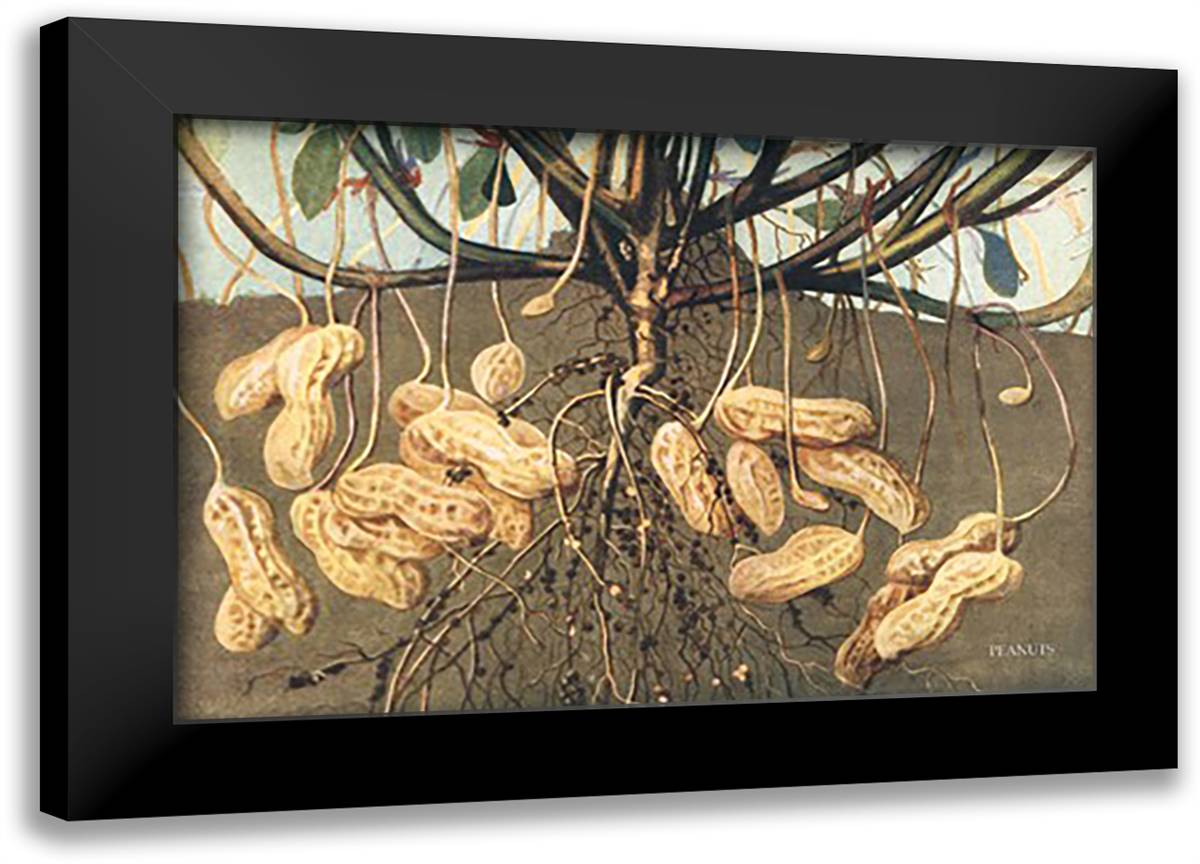 Peanuts 22x16 Black Modern Wood Framed Art Print Poster