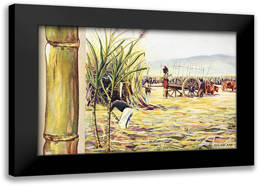 Sugarcane 22x16 Black Modern Wood Framed Art Print Poster