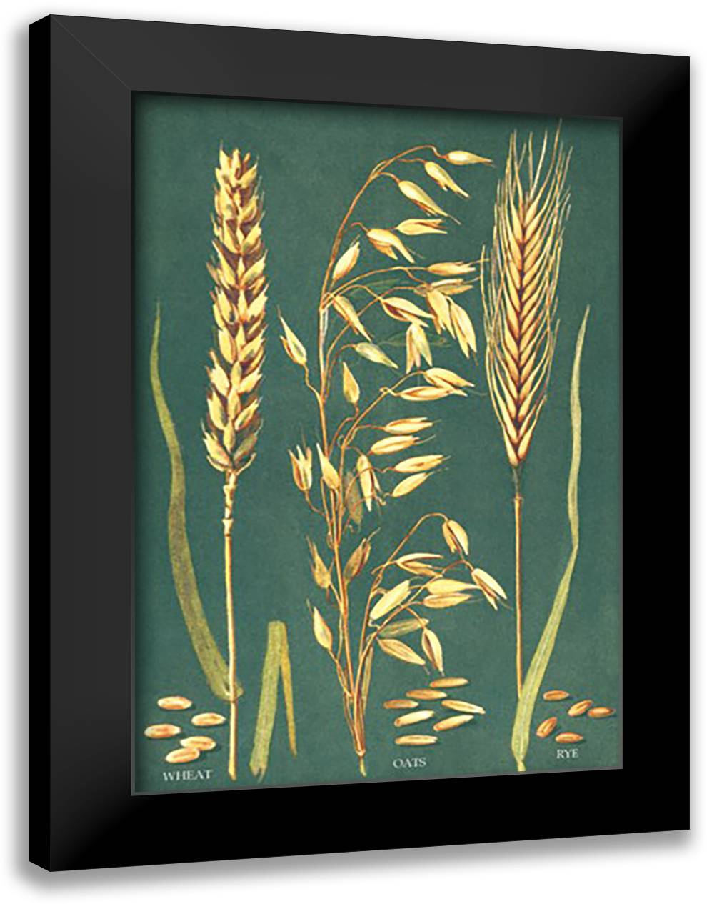Grains 16x22 Black Modern Wood Framed Art Print Poster