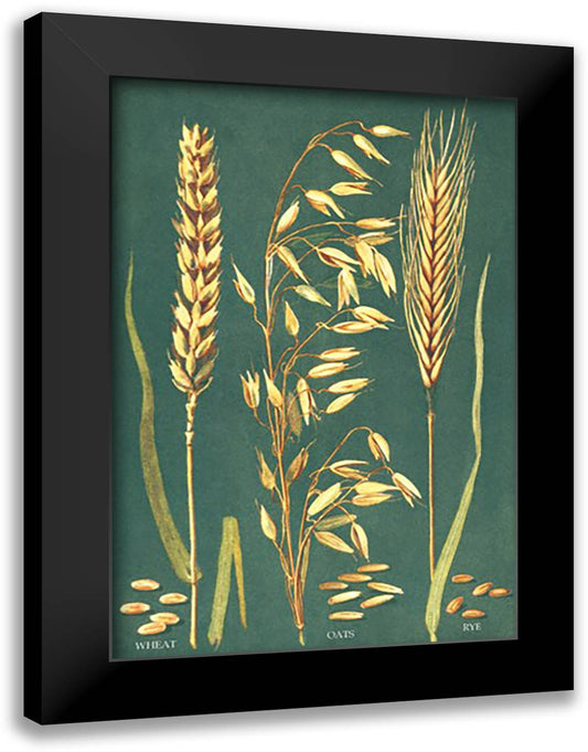 Grains 16x22 Black Modern Wood Framed Art Print Poster