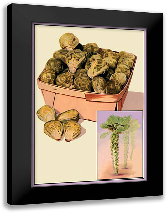 Brussel Sprouts 16x22 Black Modern Wood Framed Art Print Poster