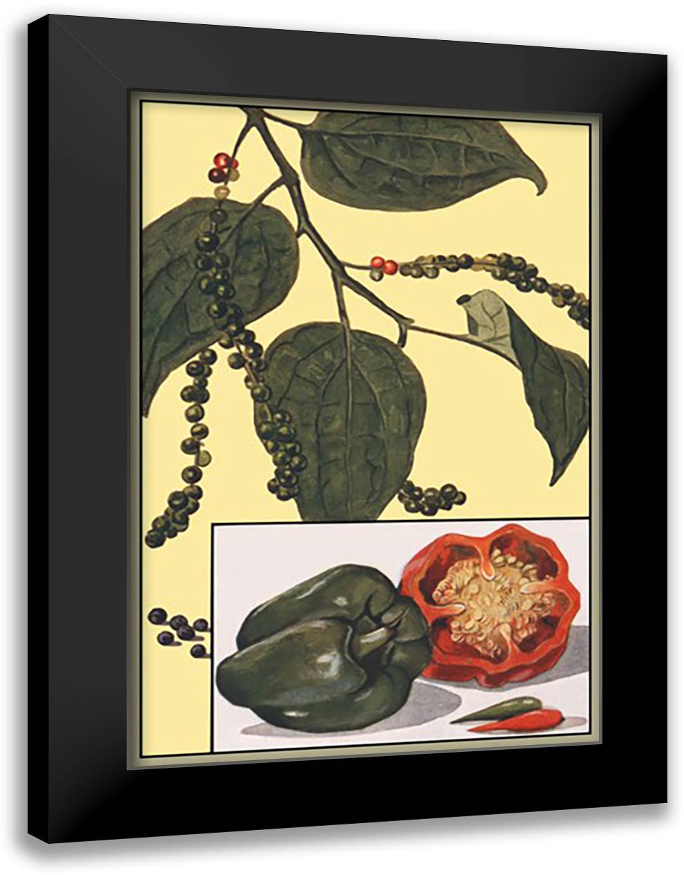Peppers 16x22 Black Modern Wood Framed Art Print Poster