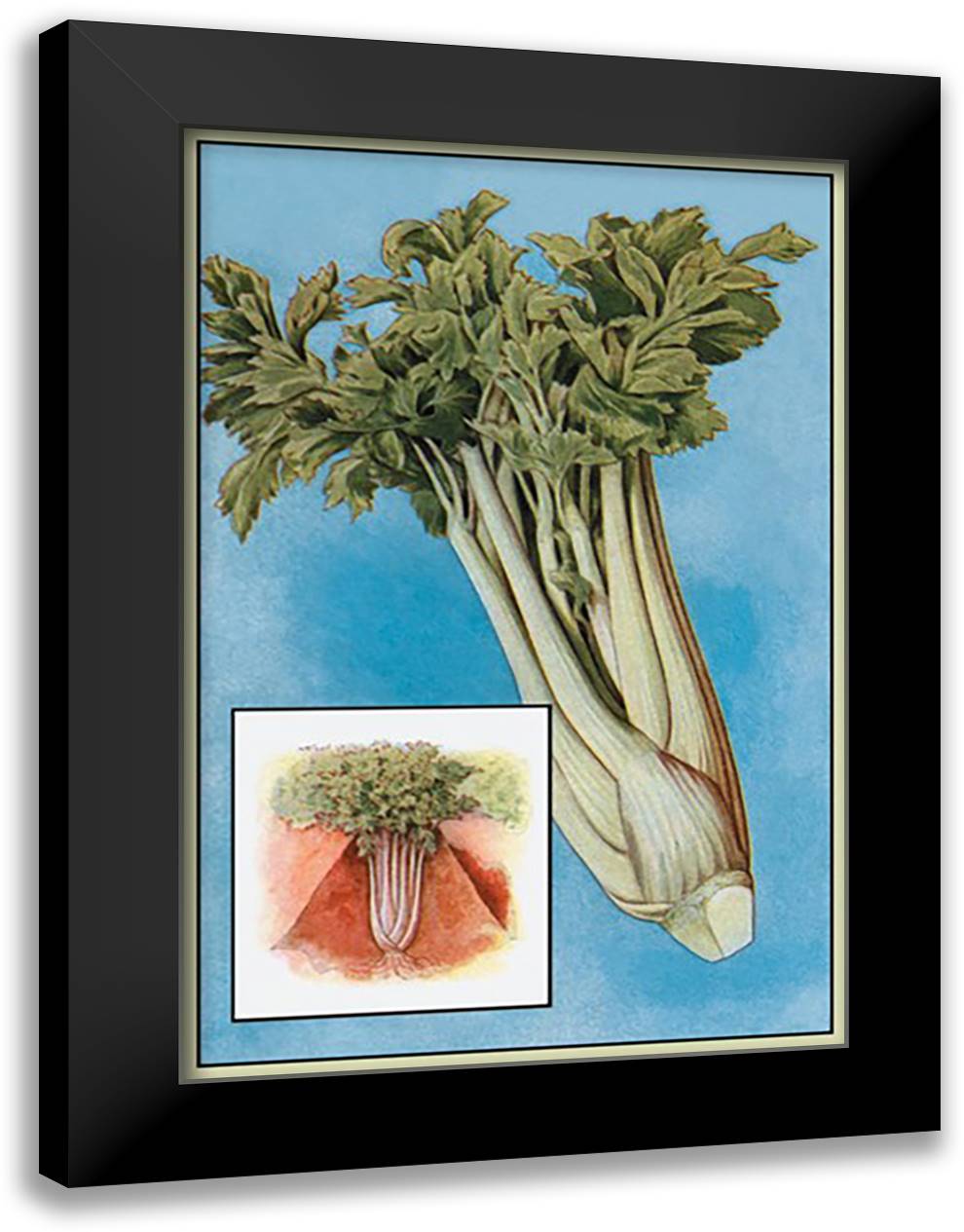 Celery 16x22 Black Modern Wood Framed Art Print Poster