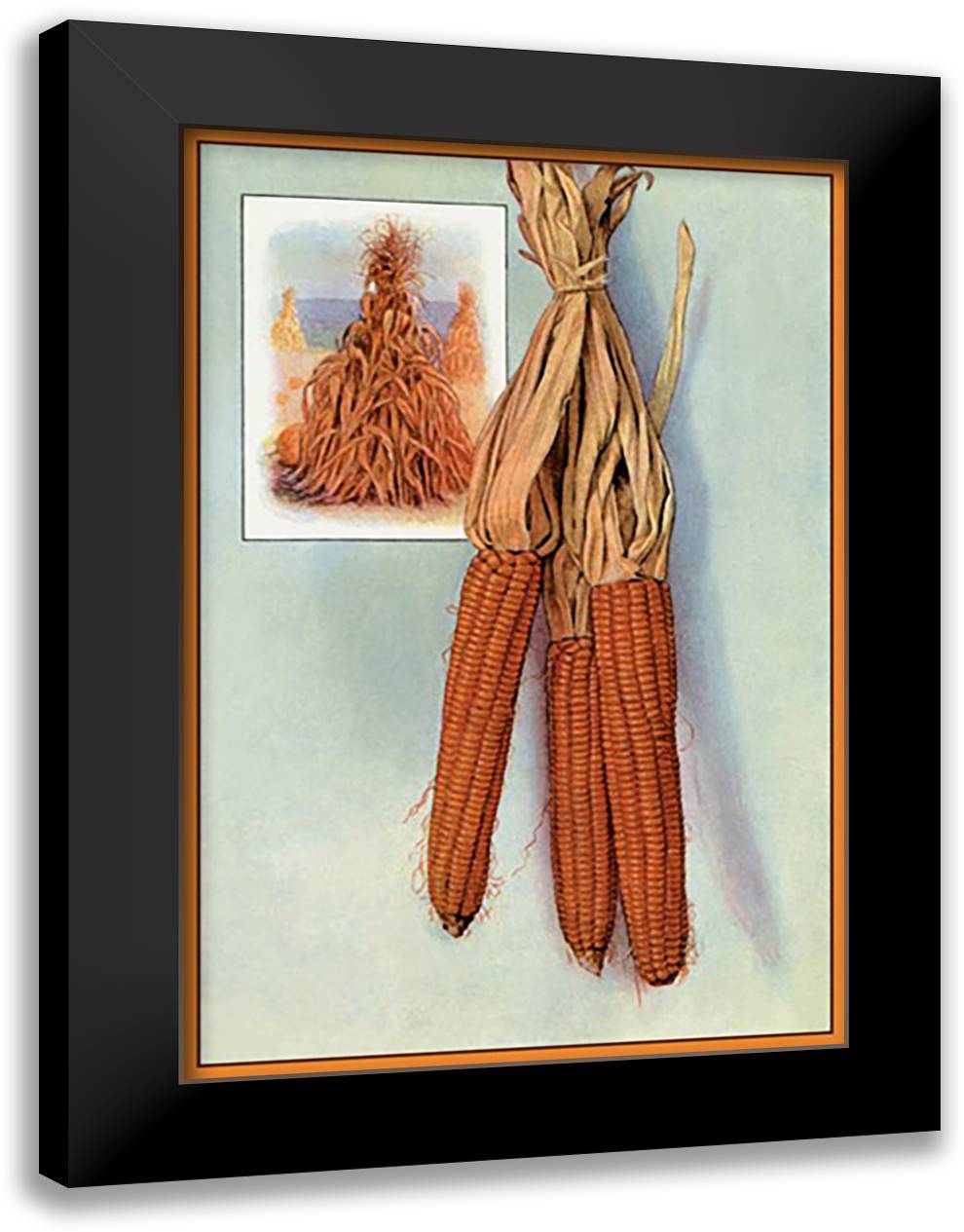 Corn 16x22 Black Modern Wood Framed Art Print Poster