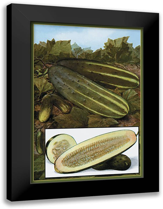 Cucumbers 16x22 Black Modern Wood Framed Art Print Poster