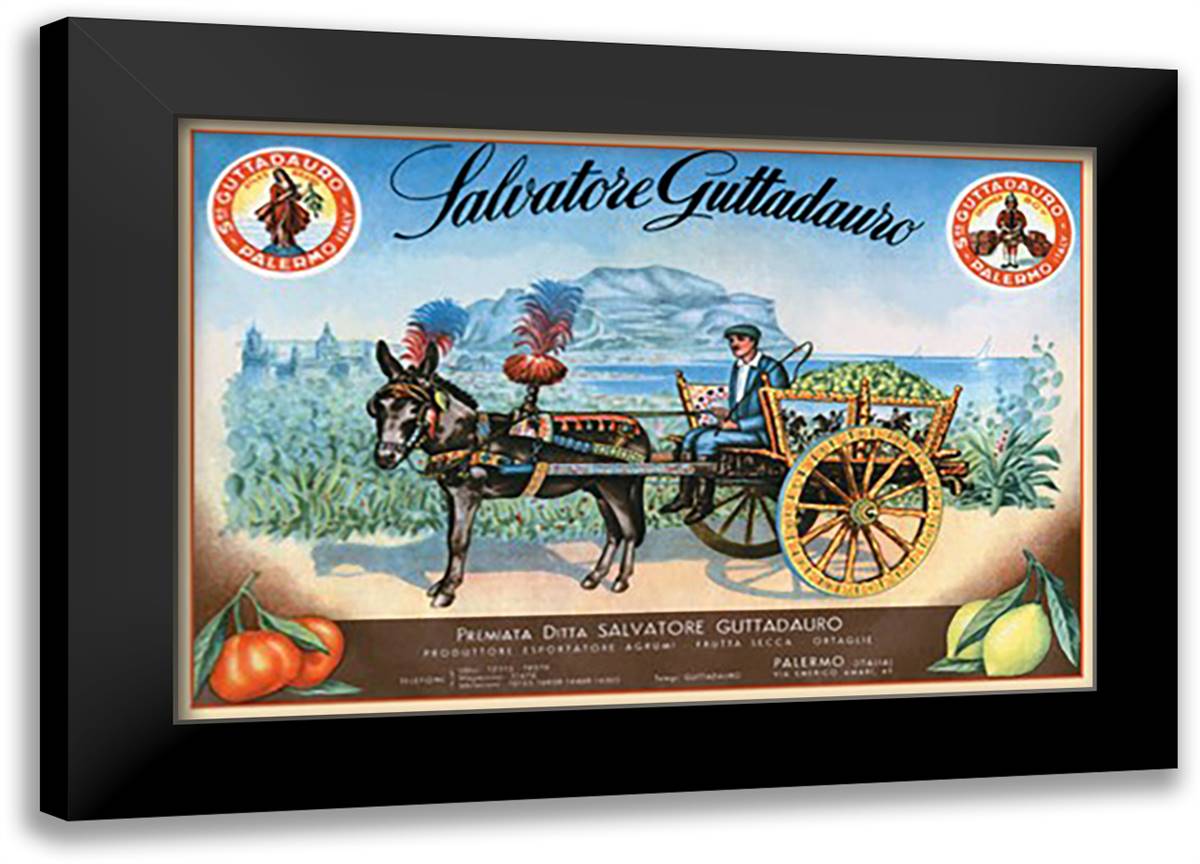 Salvatore Gutiadauro 22x16 Black Modern Wood Framed Art Print Poster