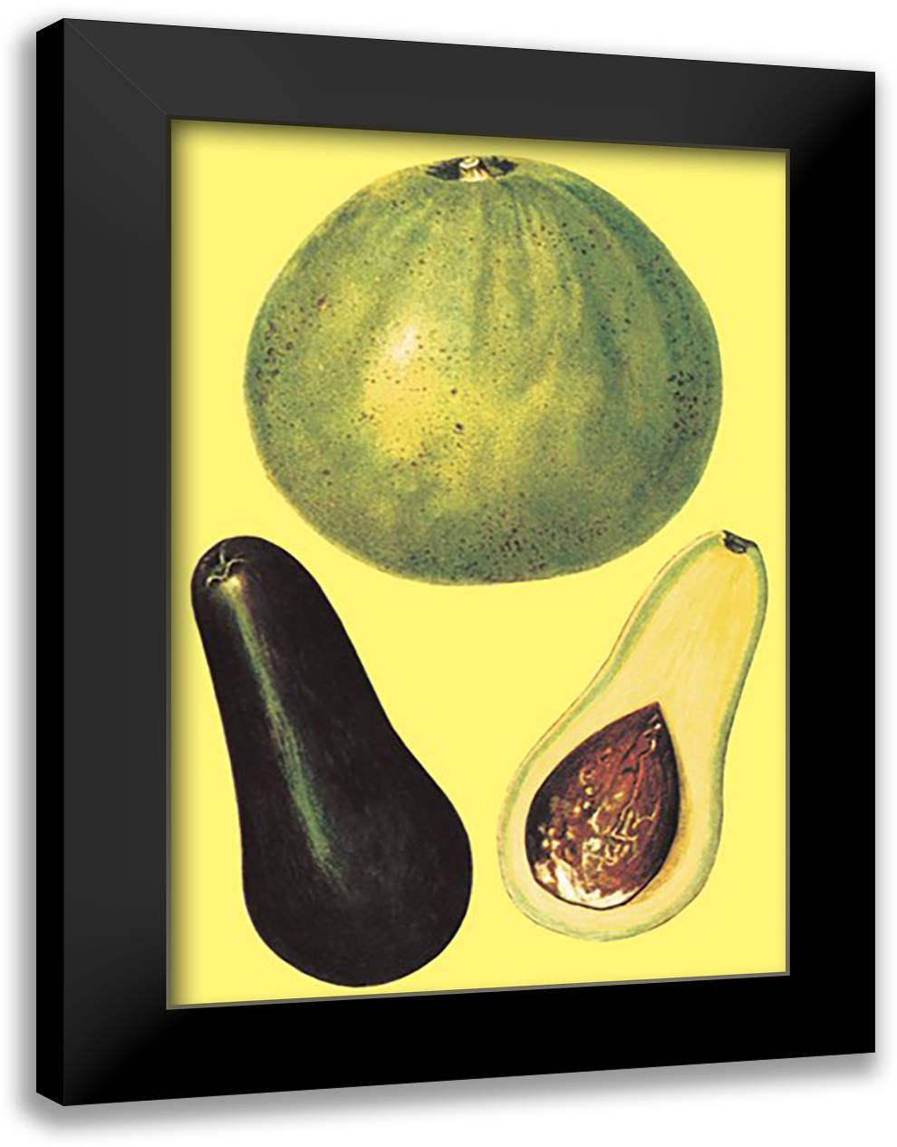 Alligator Pears 16x22 Black Modern Wood Framed Art Print Poster