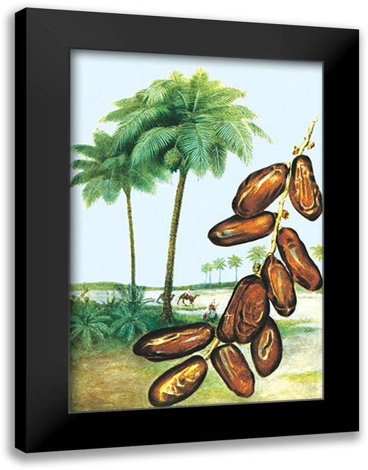 Dates 16x22 Black Modern Wood Framed Art Print Poster