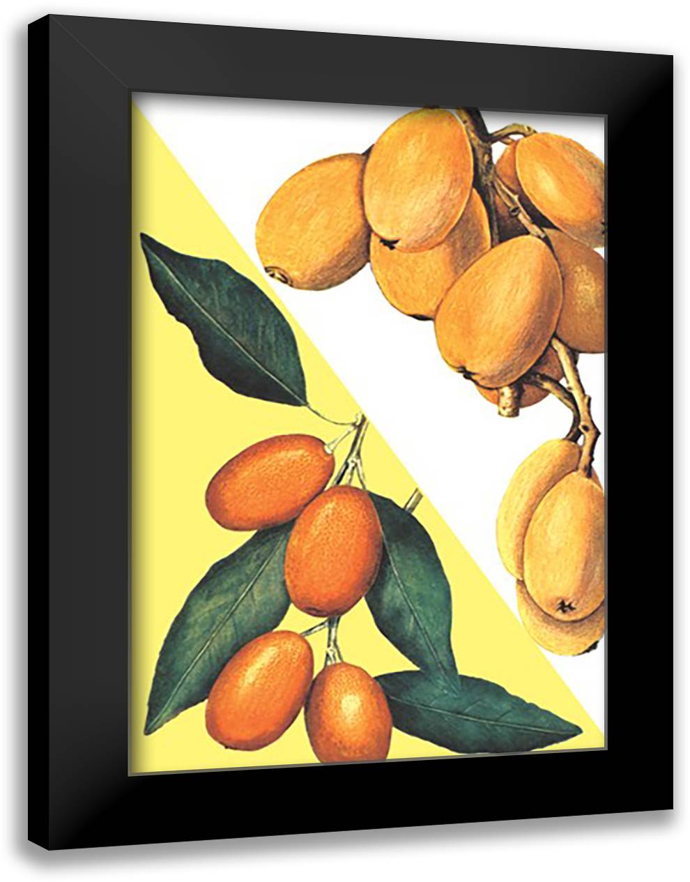 Kumquat 16x22 Black Modern Wood Framed Art Print Poster