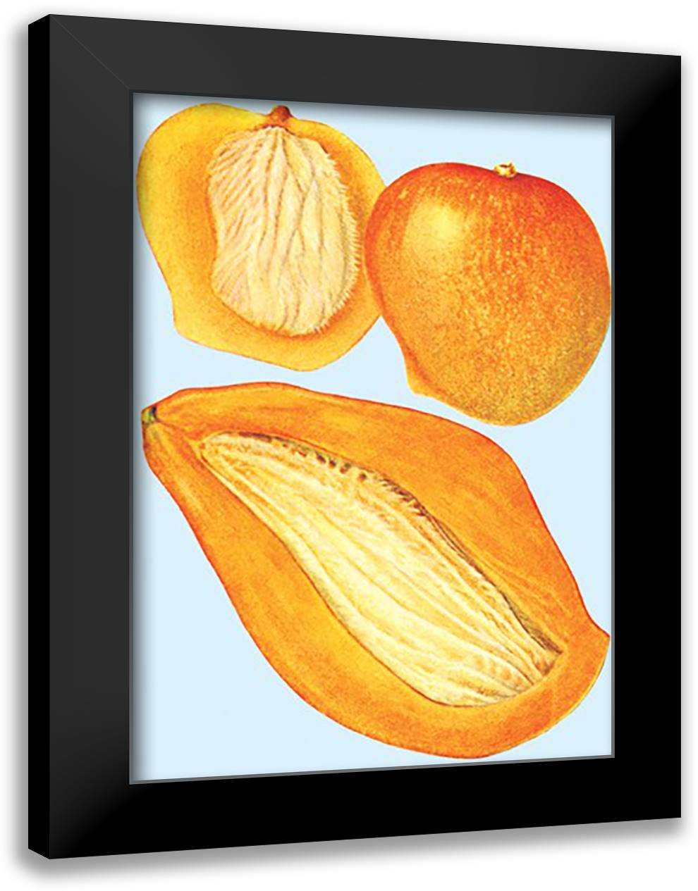 Mango 16x22 Black Modern Wood Framed Art Print Poster