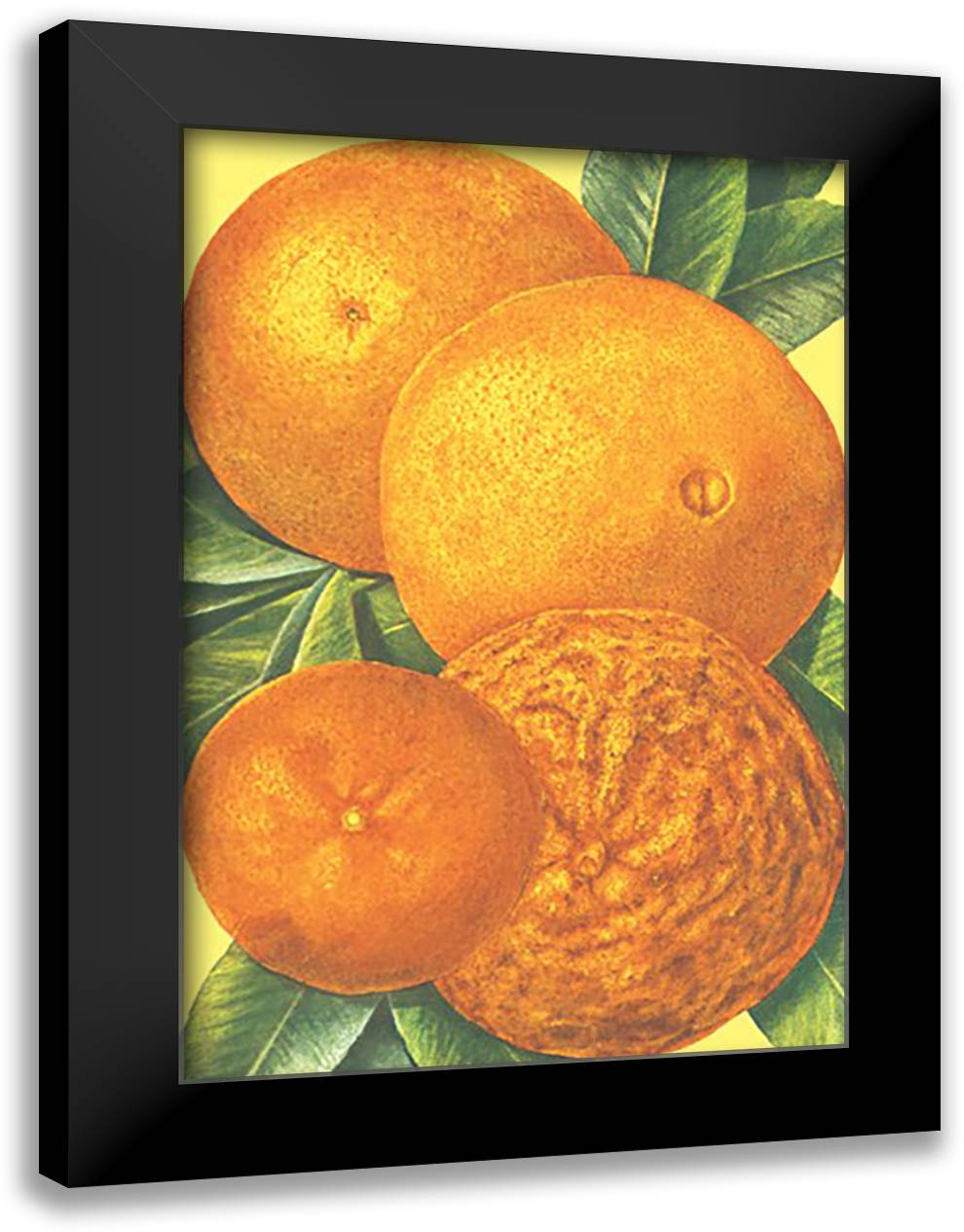 Oranges 16x22 Black Modern Wood Framed Art Print Poster
