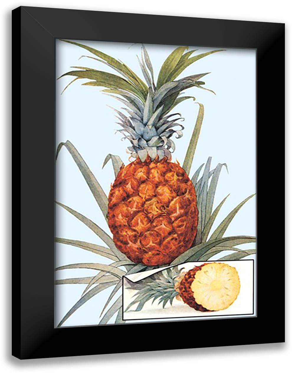 Pineapple 16x22 Black Modern Wood Framed Art Print Poster
