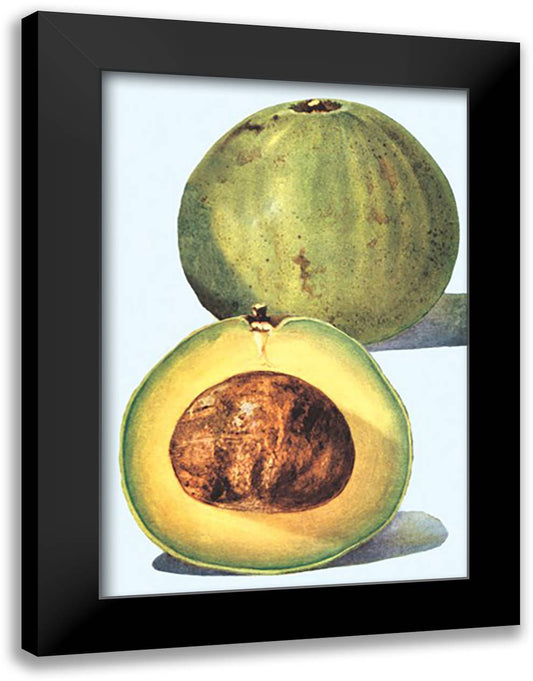 Avocado 16x22 Black Modern Wood Framed Art Print Poster