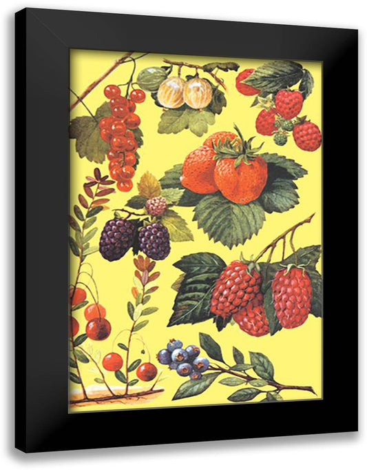 Berries 16x22 Black Modern Wood Framed Art Print Poster