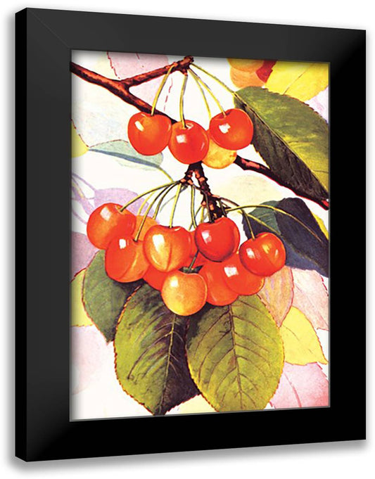 Cherries 16x22 Black Modern Wood Framed Art Print Poster