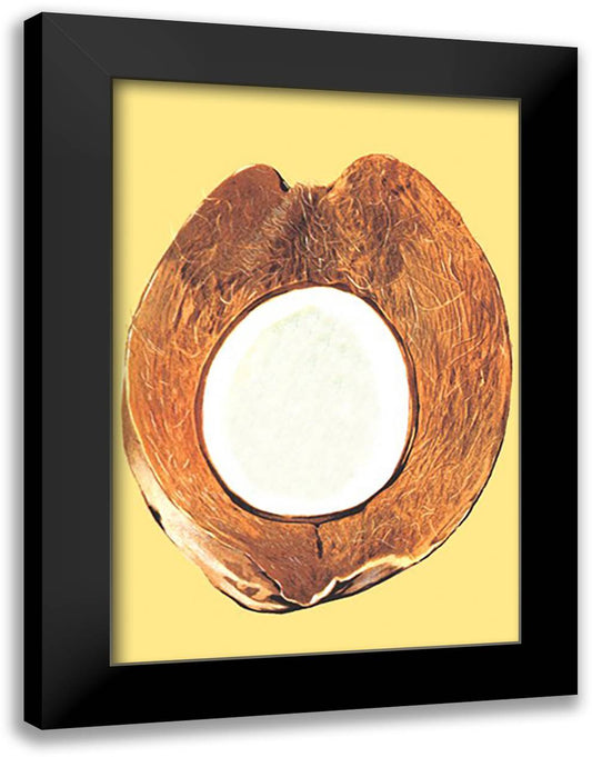 Coconut Core 16x22 Black Modern Wood Framed Art Print Poster