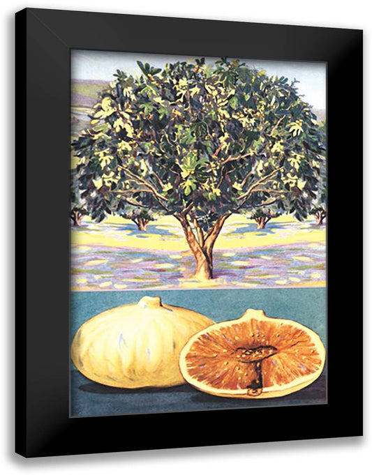 Fig Tree 16x22 Black Modern Wood Framed Art Print Poster