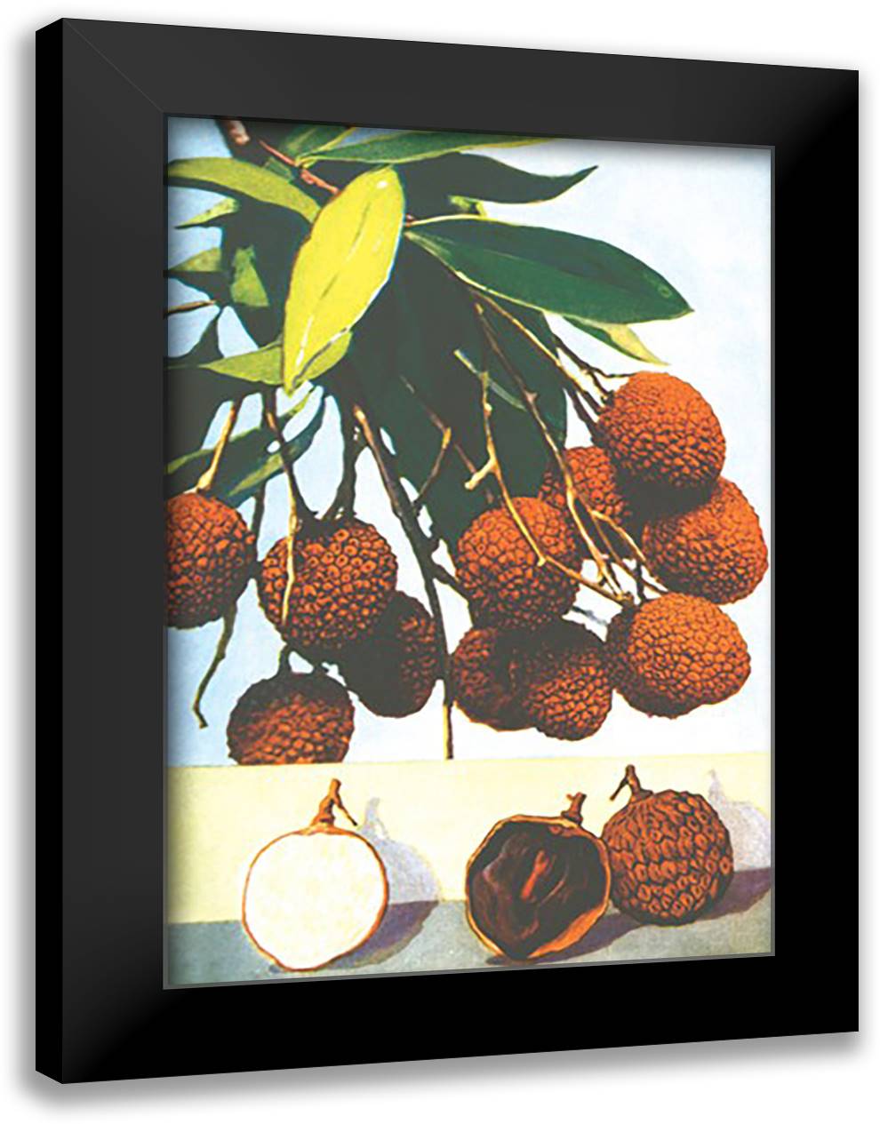 Litchi 16x22 Black Modern Wood Framed Art Print Poster
