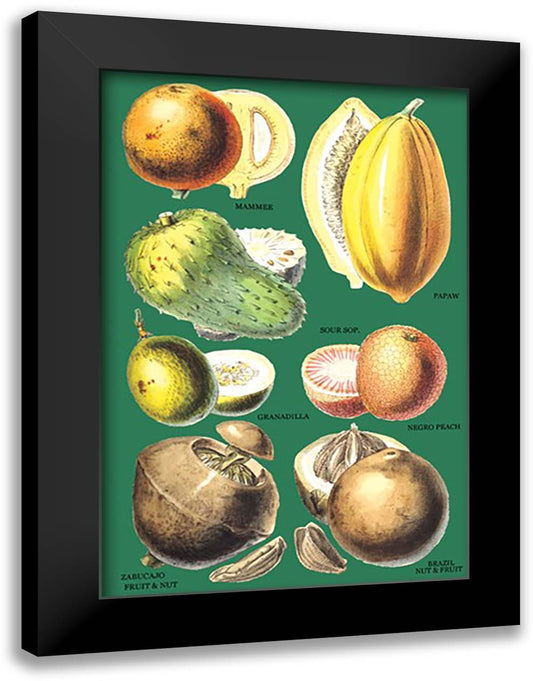 Fruits and Nuts #2 16x22 Black Modern Wood Framed Art Print Poster