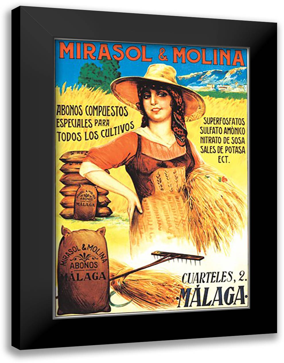 Mirasol and Morina 16x22 Black Modern Wood Framed Art Print Poster