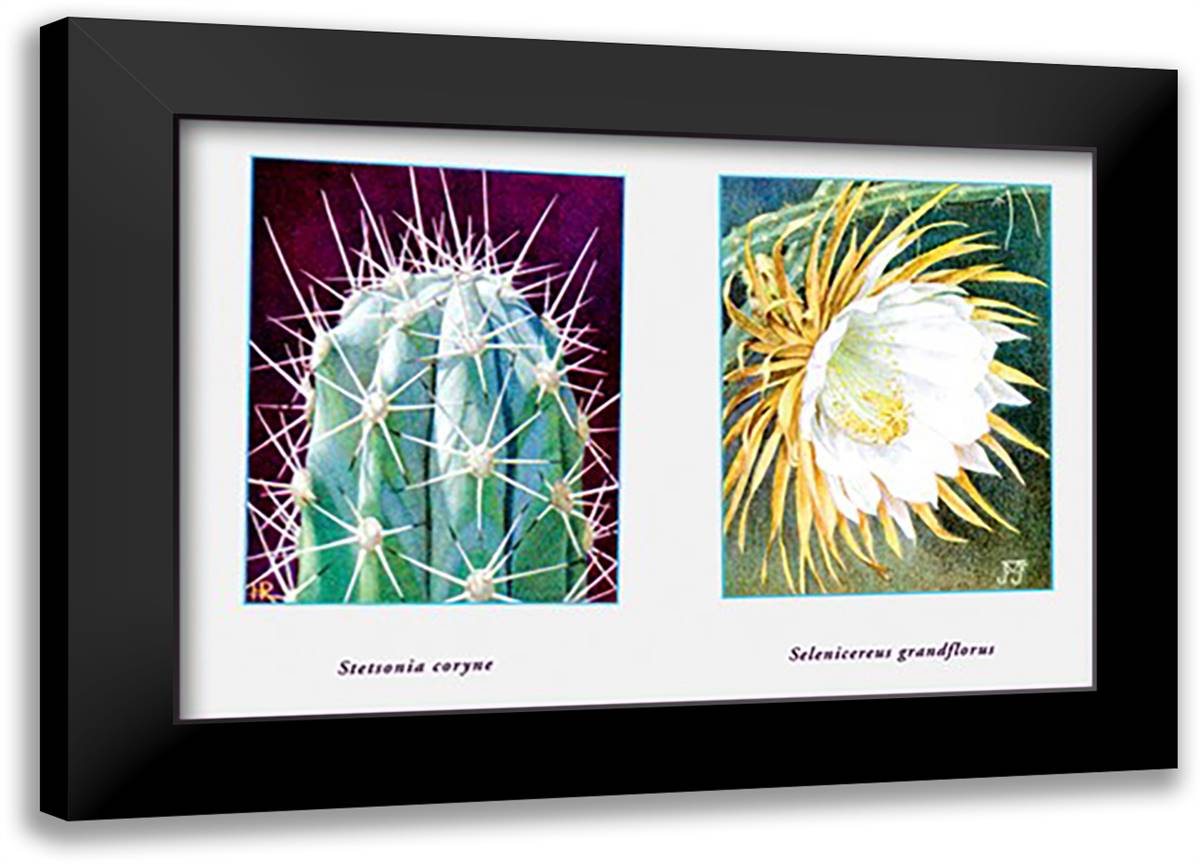 Stetsonia Coryne 22x16 Black Modern Wood Framed Art Print Poster