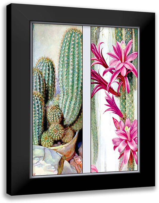 Cactus and Flower 16x22 Black Modern Wood Framed Art Print Poster