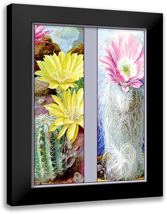Flower, Cactus, and Flower 16x22 Black Modern Wood Framed Art Print Poster