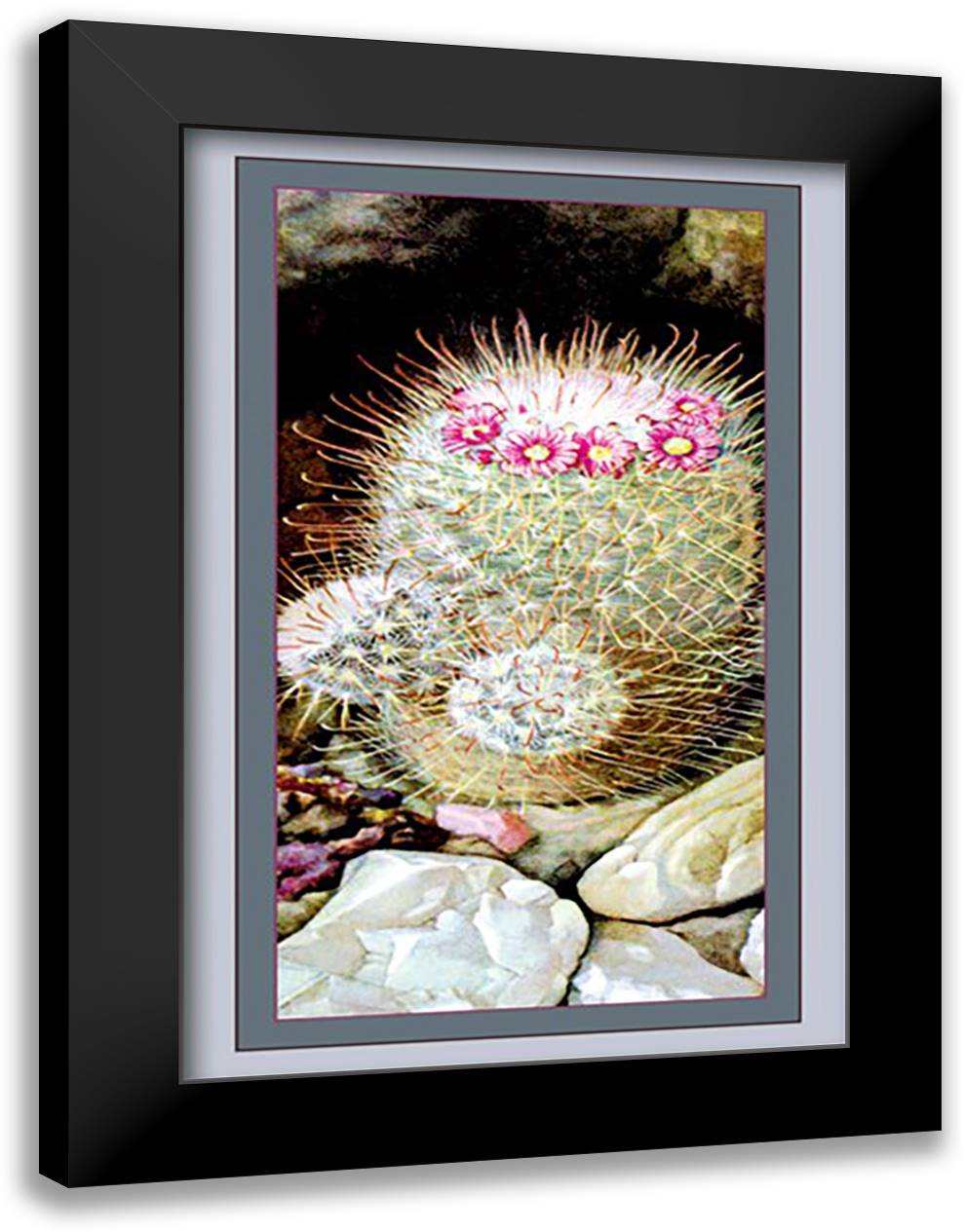 Cactus 16x22 Black Modern Wood Framed Art Print Poster