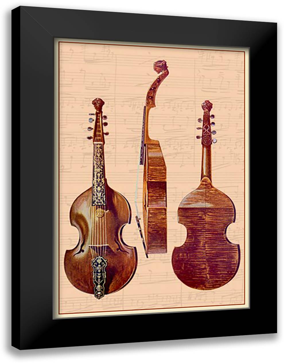 Viola D'Amore 16x22 Black Modern Wood Framed Art Print Poster by Thomas, Theodore