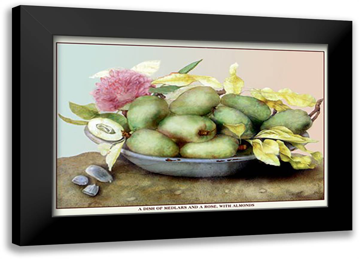 Dish of Medlars, a Rose, and Almonds 22x16 Black Modern Wood Framed Art Print Poster by Garzoni, Giovanni