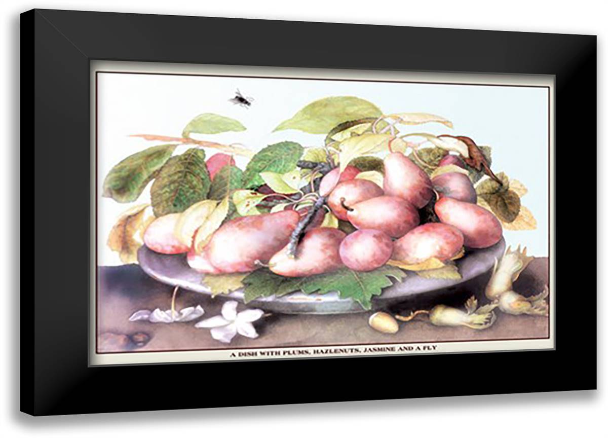 Dish of Plums, Nuts, Jasmine and a Fly 22x16 Black Modern Wood Framed Art Print Poster by Garzoni, Giovanni