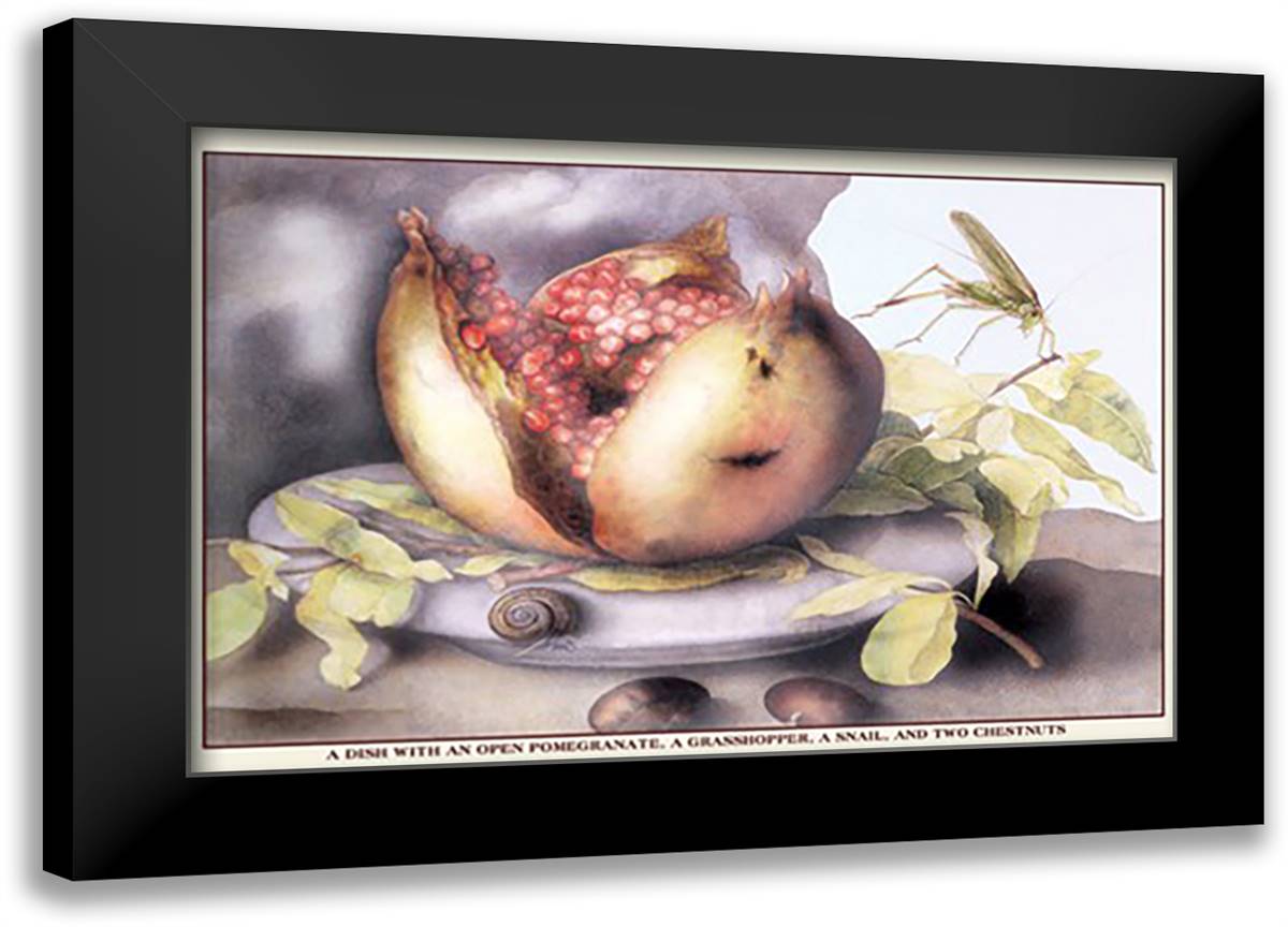 Dish with a Pomegranate, a Grasshopper, a Snail, and Two Chestnuts 22x16 Black Modern Wood Framed Art Print Poster by Garzoni, Giovanni
