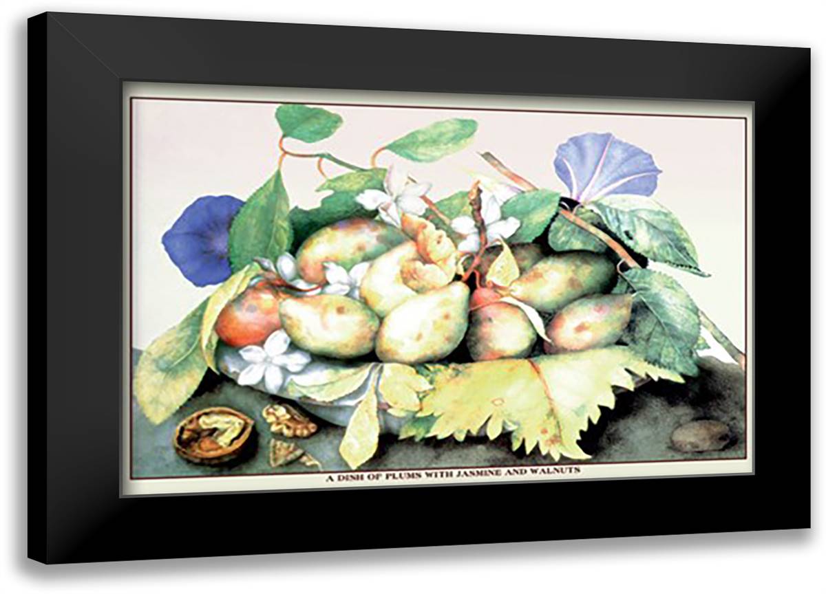 Dish of Plums with Jasmine and Walnuts 22x16 Black Modern Wood Framed Art Print Poster by Garzoni, Giovanni
