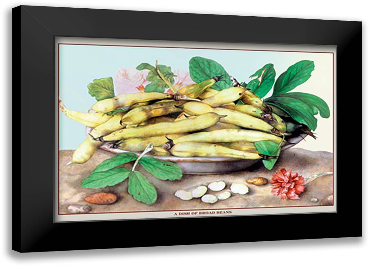 Dish of Broad Beans 22x16 Black Modern Wood Framed Art Print Poster by Garzoni, Giovanni