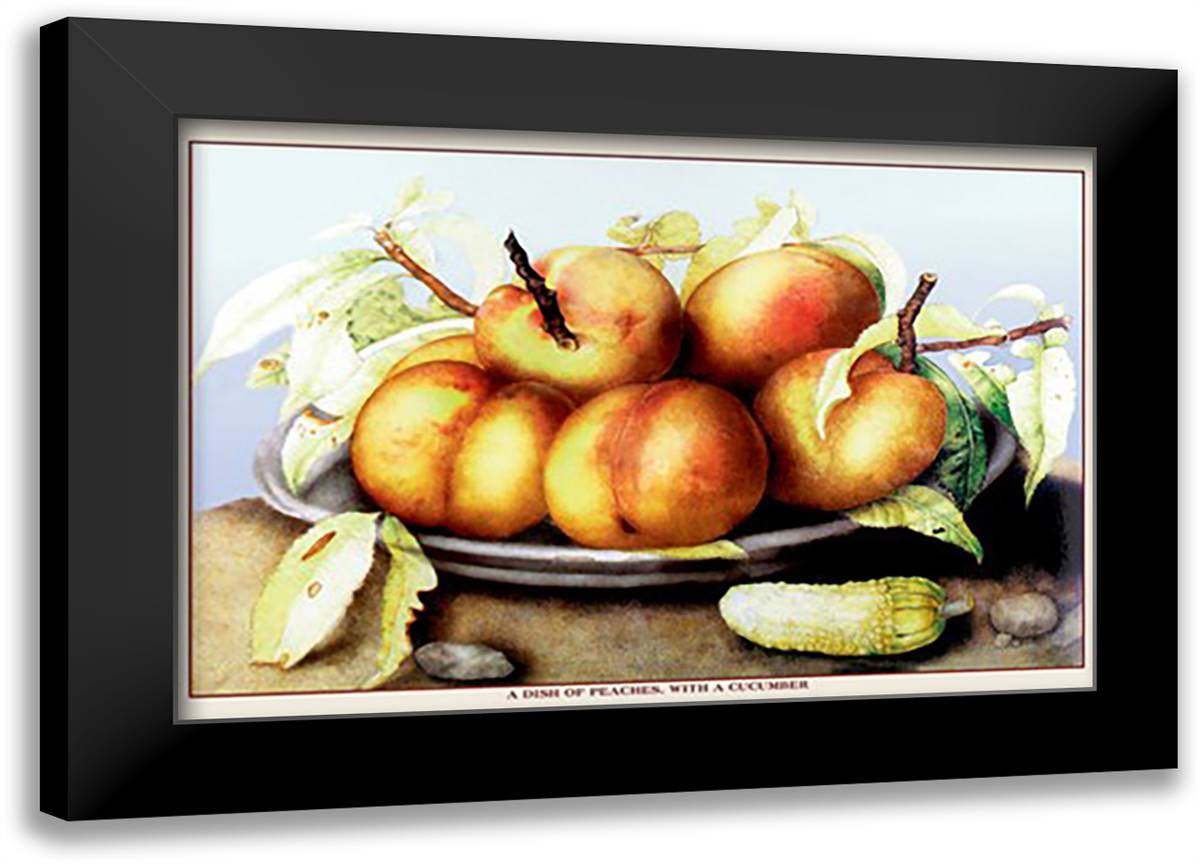 Dish of Peaches with a Cucumber 22x16 Black Modern Wood Framed Art Print Poster by Garzoni, Giovanni