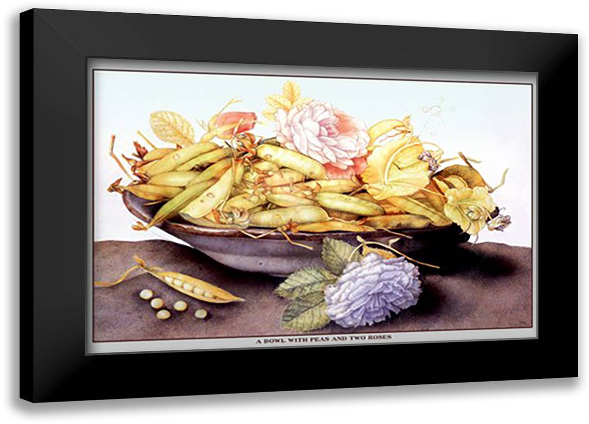 Bowl with Pears and Two Roses 22x16 Black Modern Wood Framed Art Print Poster by Garzoni, Giovanni