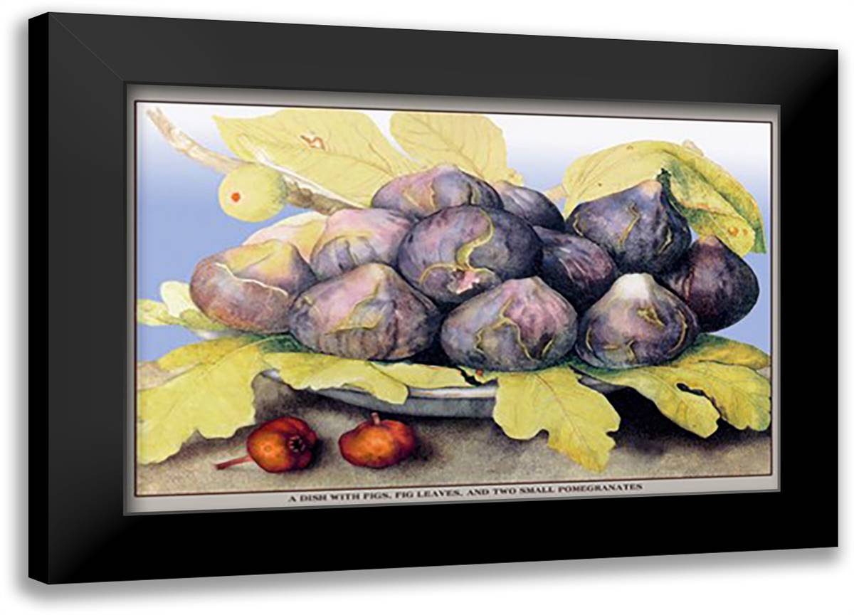 Dish with Figs, Fig Leaves and Small Pomegranates 22x16 Black Modern Wood Framed Art Print Poster by Garzoni, Giovanni