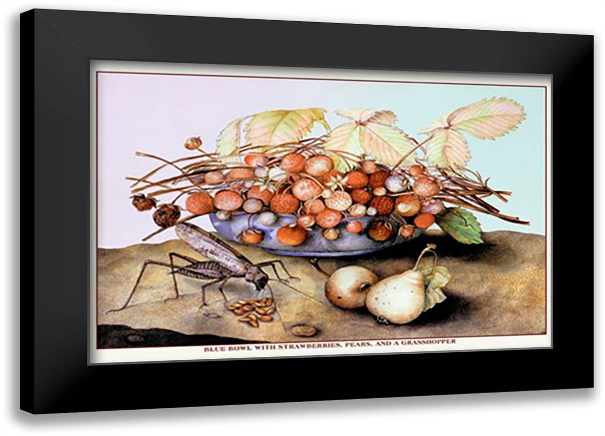 Bowl of Strawberries, Pears and a Grasshopper 22x16 Black Modern Wood Framed Art Print Poster by Garzoni, Giovanni